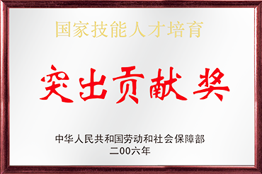突出贡献奖
