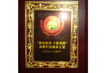 消费行业服务之星