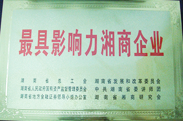 最具影响力湘商企业